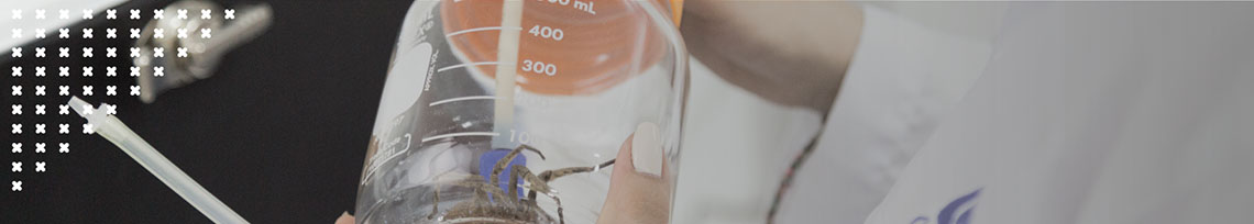 Imagen a manera de banner con tarántula dentro de botella de vidrio en el laboratorio de Unibagué